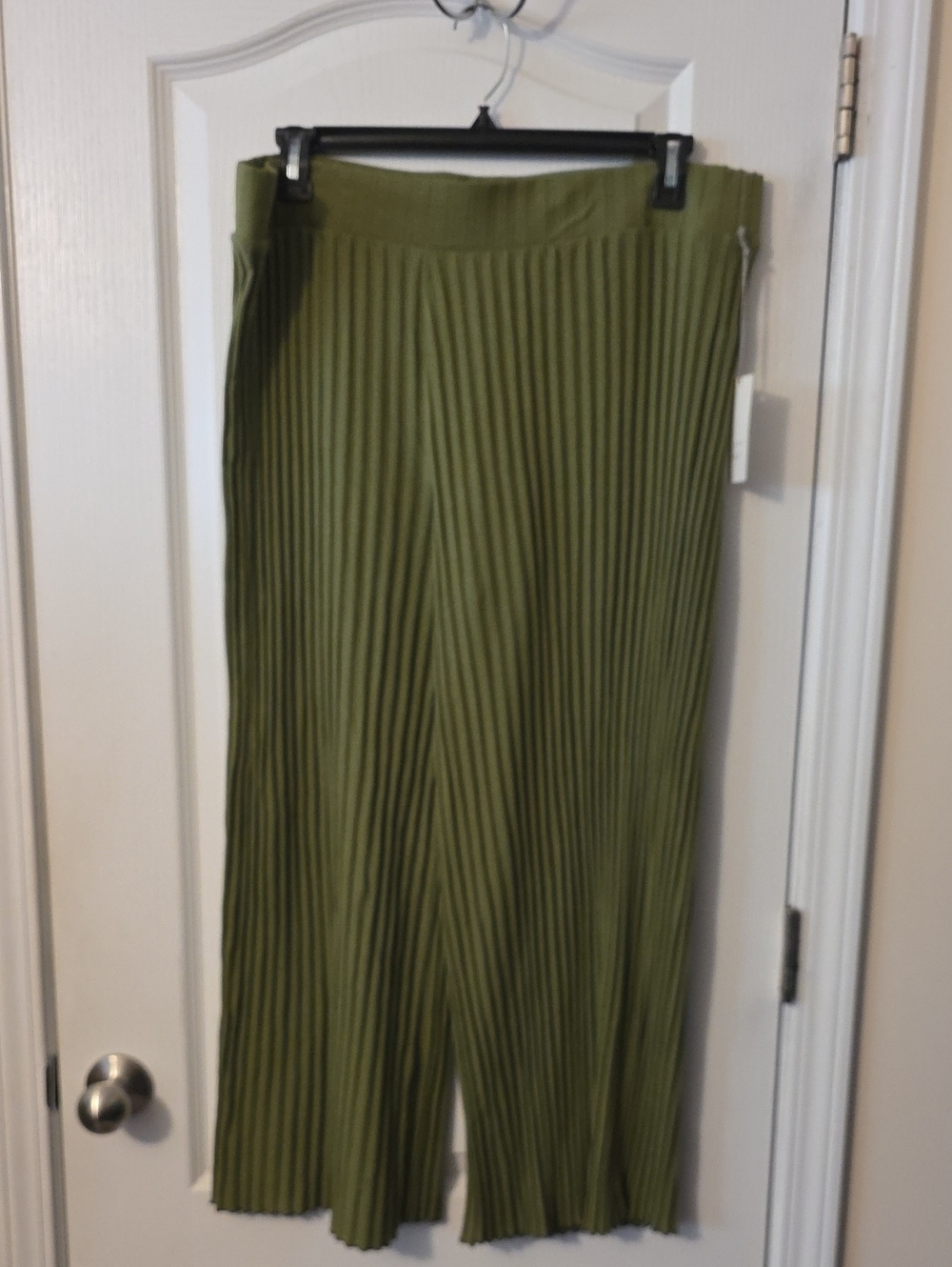 A New Day Pleated Wide-Leg Pants in Olive Green